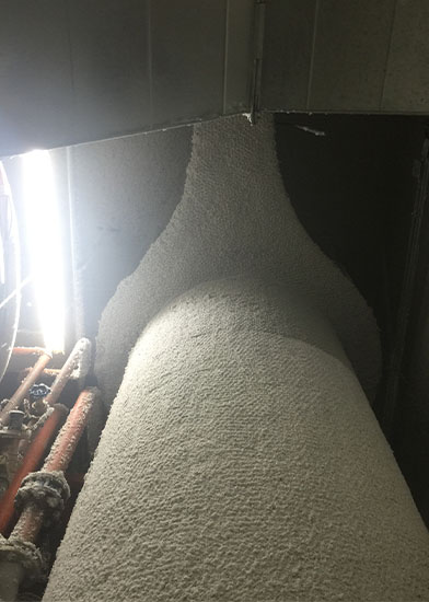 绿巨人在线免费观看